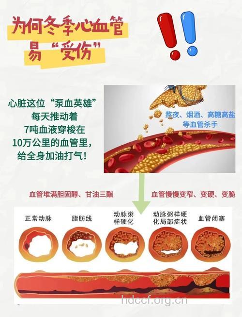 智力与心血管健康息息相关