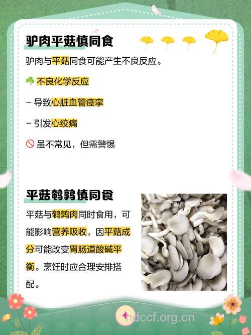 与平菇相克的食物有哪些