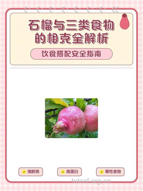 与石榴相克的食物有哪些