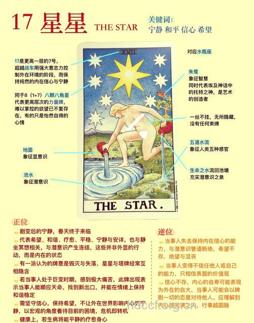 揭秘与星星相关的周公解梦