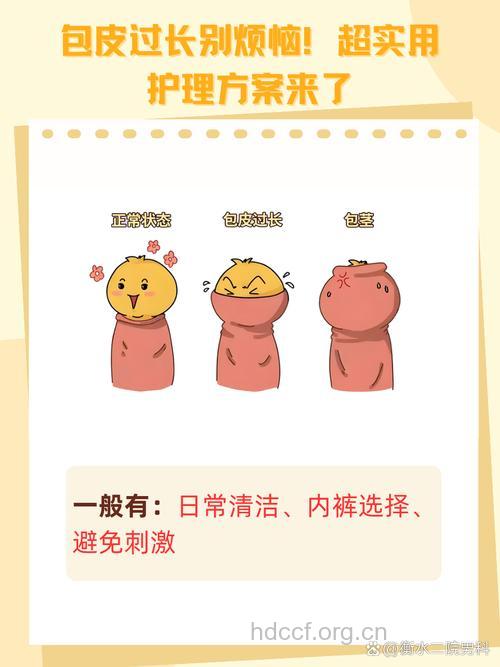 夏季包皮过长该如何护理