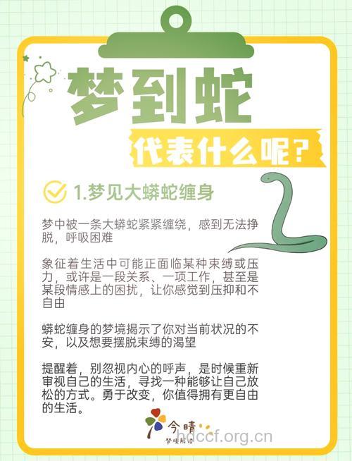 周公解梦 梦见野生动物预示什么