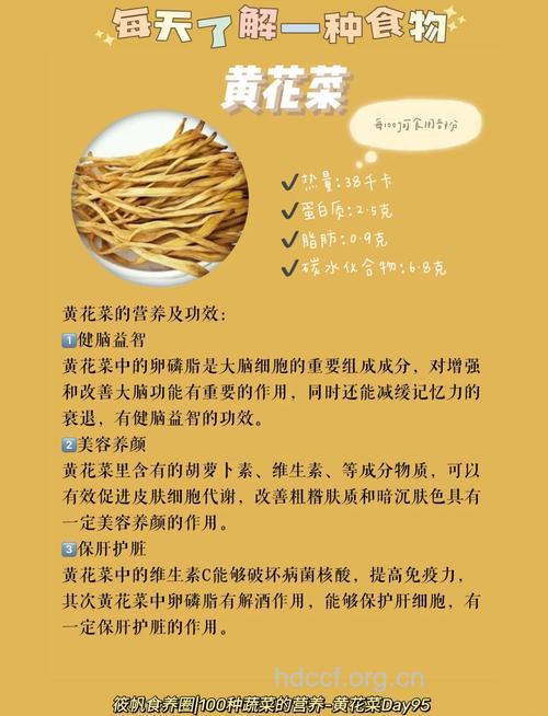 黄花菜的功效及营养价值