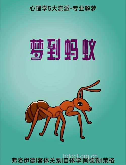 揭秘与蚂蚁相关的周公解梦