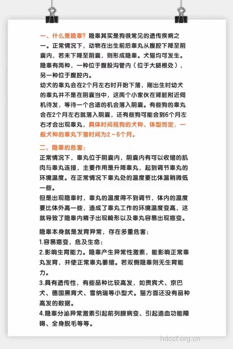 隐睾有哪些危害