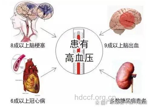 血压与蛋白质关系