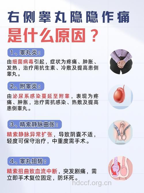 哪些原因导致男性睾丸疼