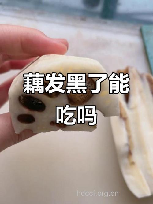 莲藕变黑了还能不能吃