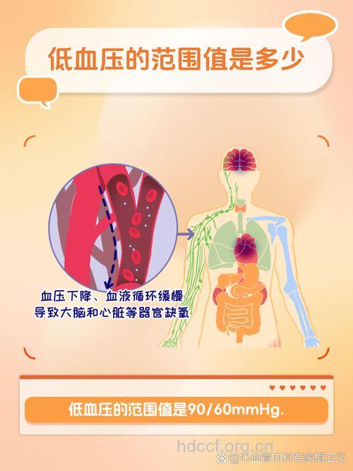 基础血压关系死活 不可不知!!