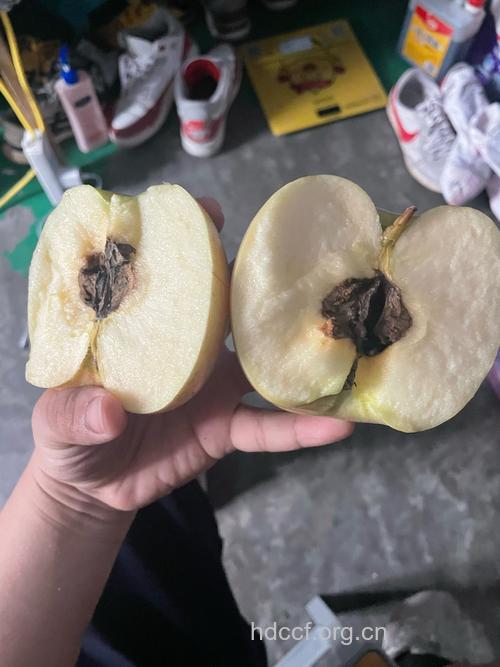 坏了一点的苹果能不能吃