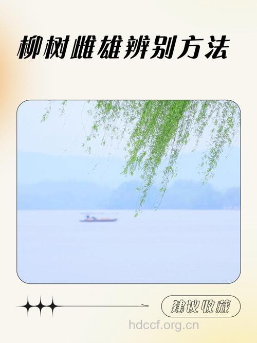 孕妇梦见抚摸柳树是什么意思