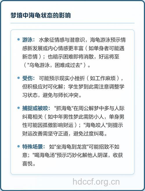 孕妇梦见海龟是什么意思