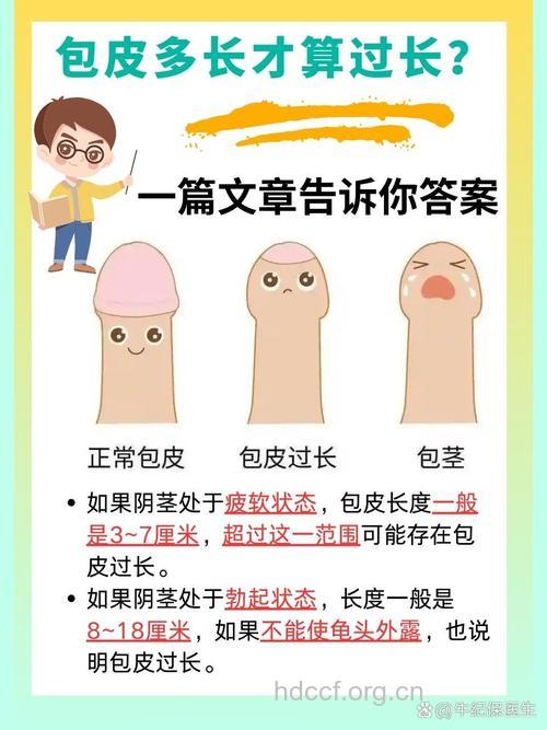 男人最好要知道包皮和包皮过长