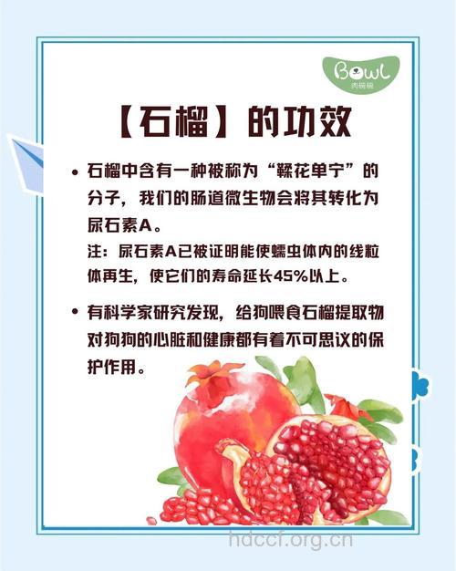 石榴的功效 吃石榴的好处有哪些