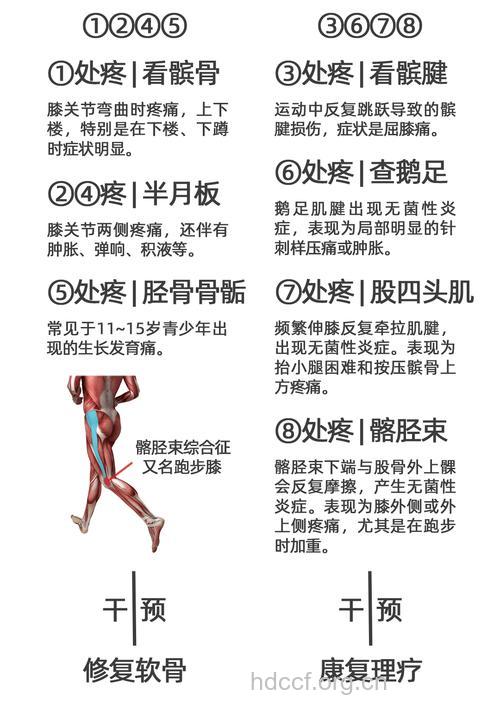 跑步膝盖疼如何办?跑步膝盖疼如何回事?