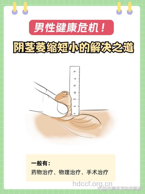 男性阴茎短小的问题