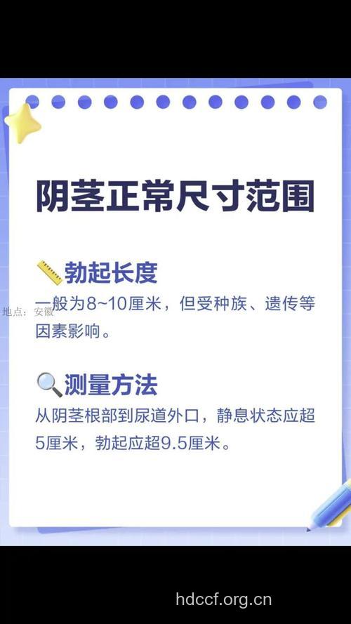 男性阴茎大小重要还是硬度重要