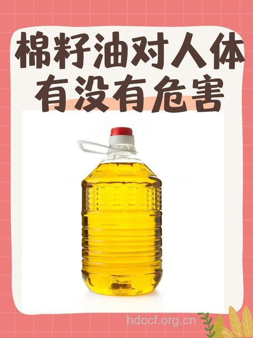 食用棉籽油易导致不孕症