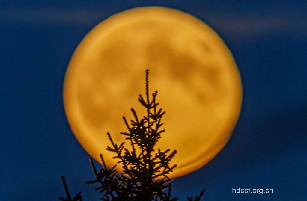 孕妇梦见月亮是什么意思