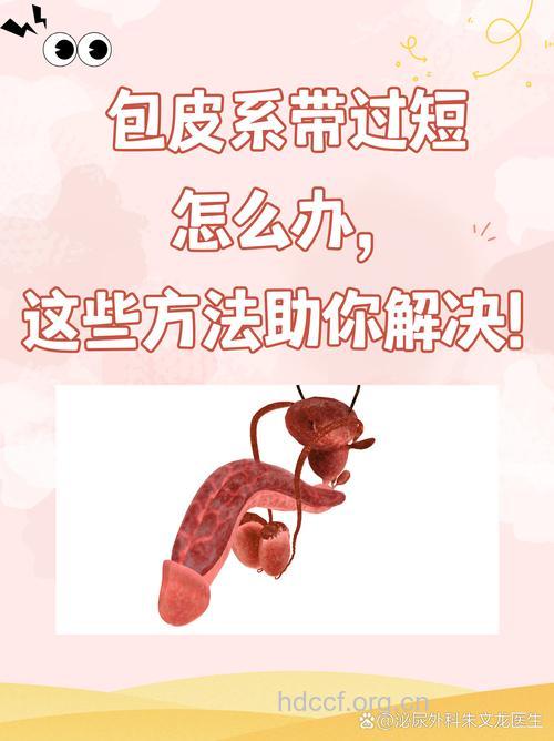 包皮系带过短该怎么办?