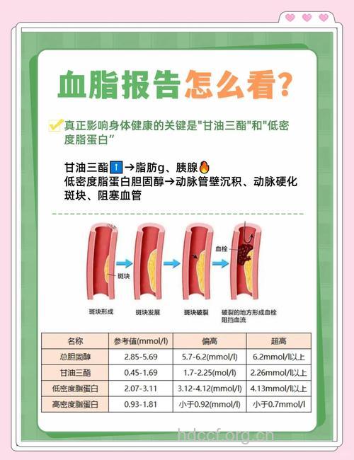 高血脂疾病有什么诊断方法