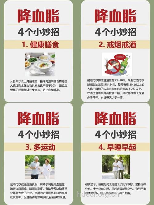 老年人高血脂的控制方法