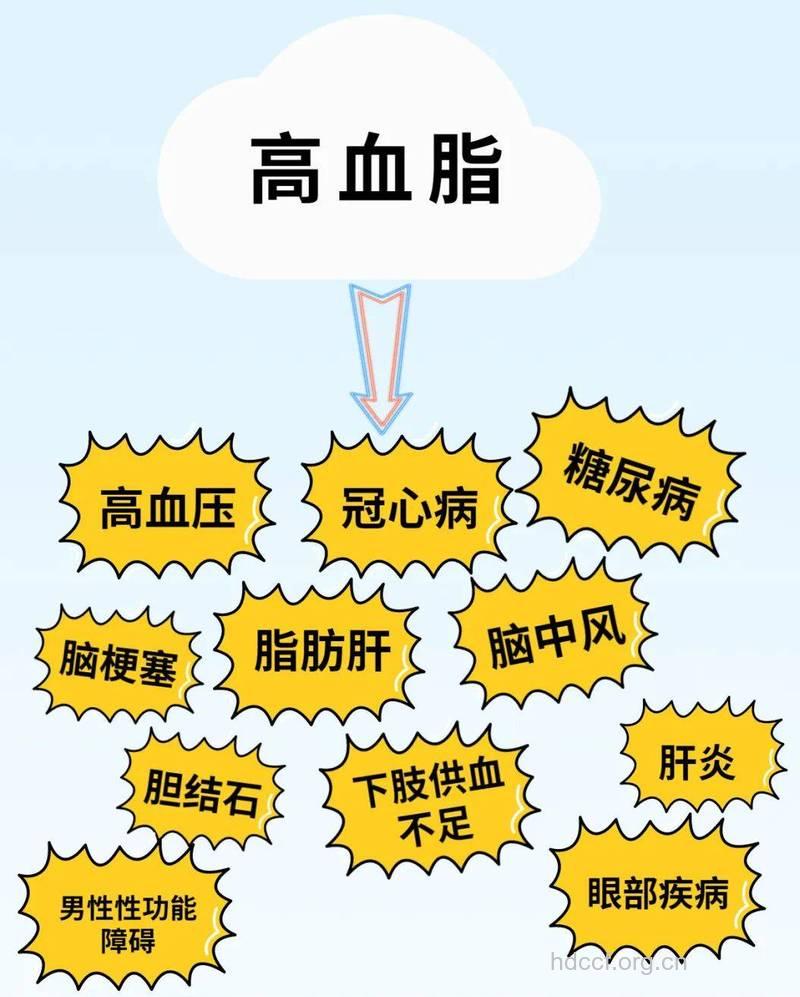 引发高血脂的因素有哪些