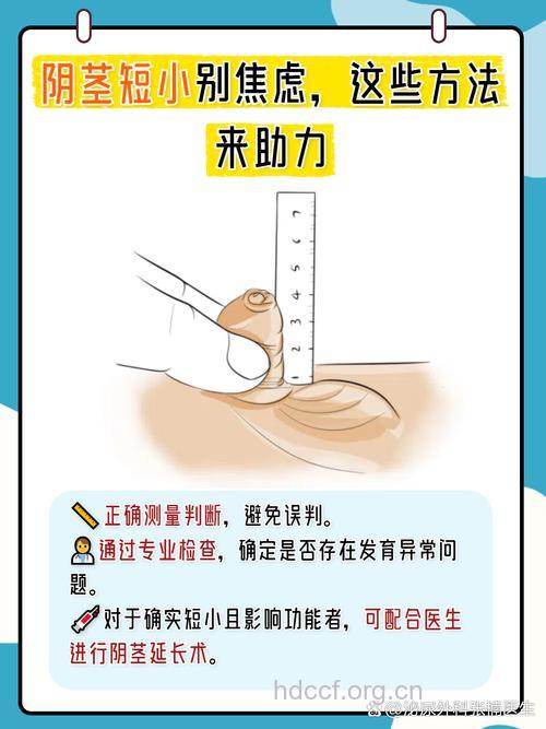 男人怎样远离短小“小弟弟”