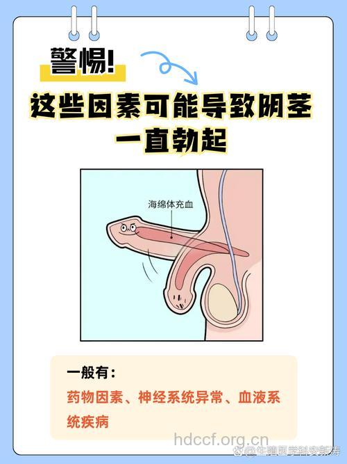 影响阴茎变大的因素有哪些?
