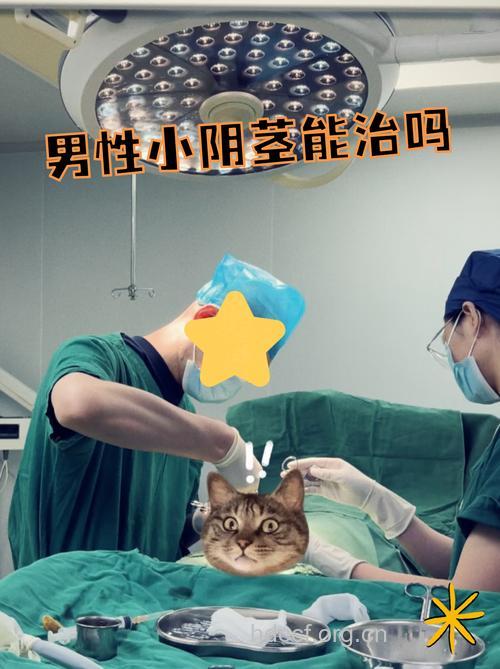 小阴茎,能用药物或手术解决吗?