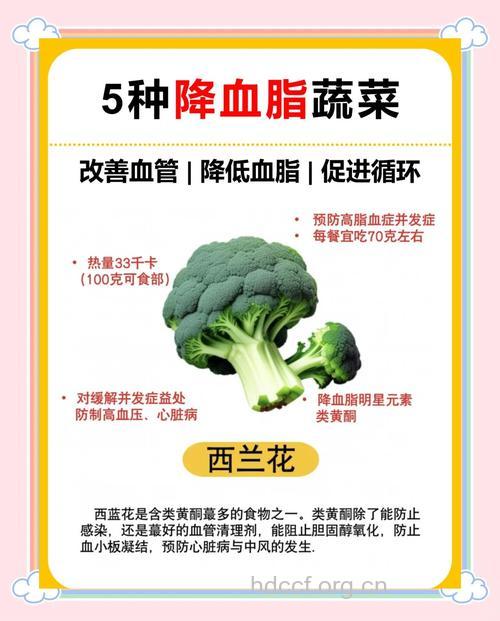 常吃五种蔬菜有利于降血脂