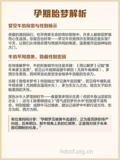 孕妇梦见牛预示着什么