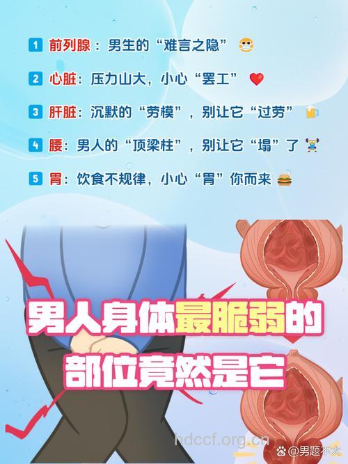 男人不能忽视的三个身体部位