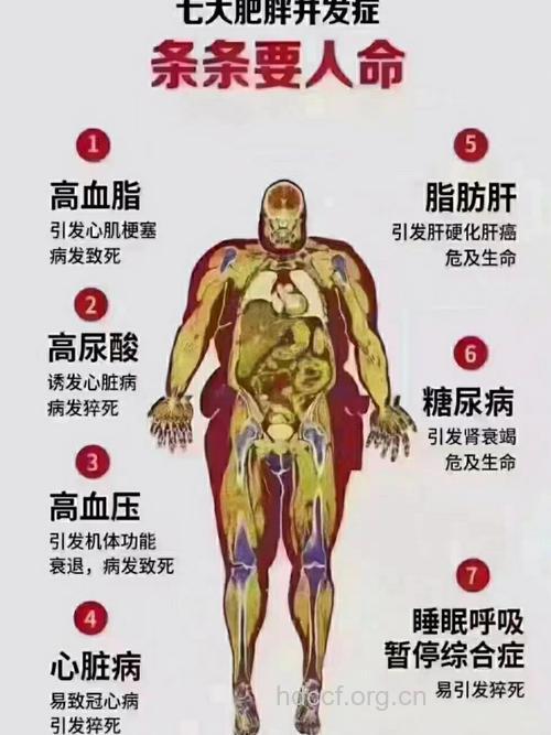 男人身材走样容易得癌症 肥胖的原因有哪些