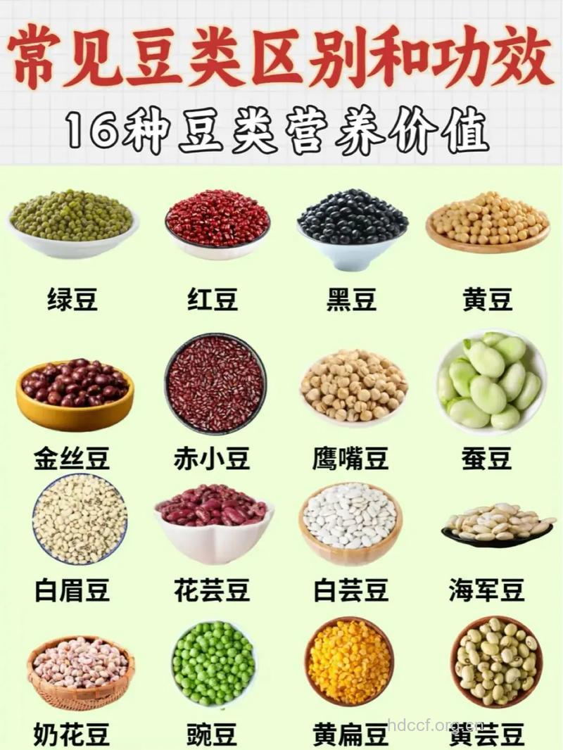 每天吃豆类食物 可降胆固醇
