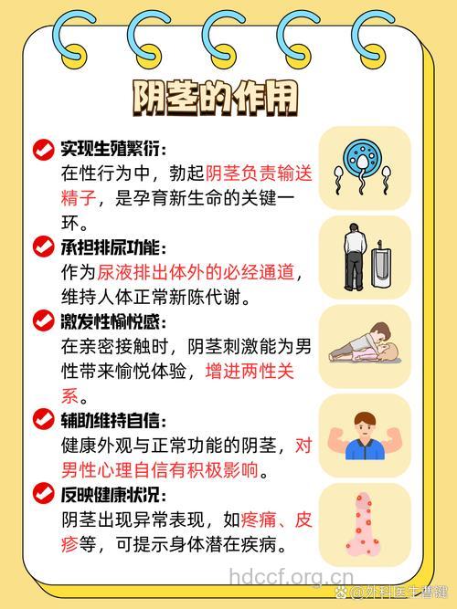 做阴茎延长手术需谨防误区