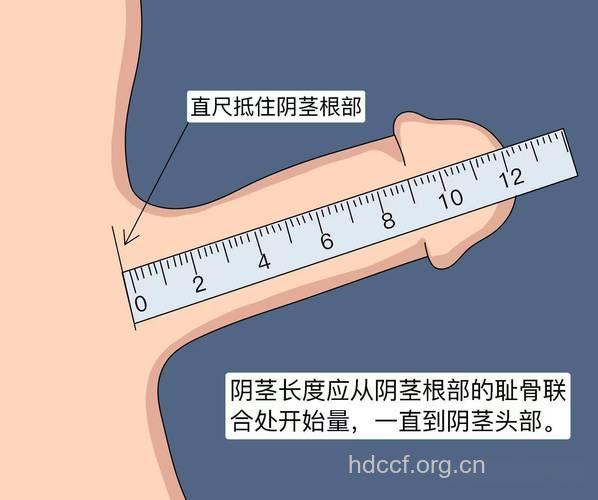 小阴茎男人的自信哪里找？