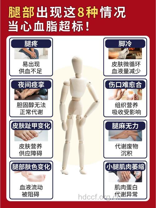 高血脂会导致腿脚不利索