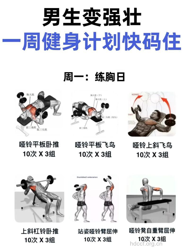 男性必看的魅力球星的健身计划