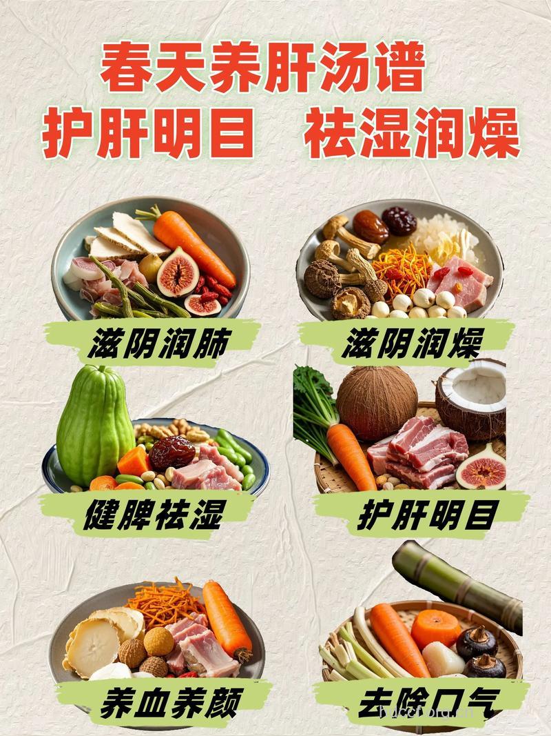 不容忽视的春季养生食物