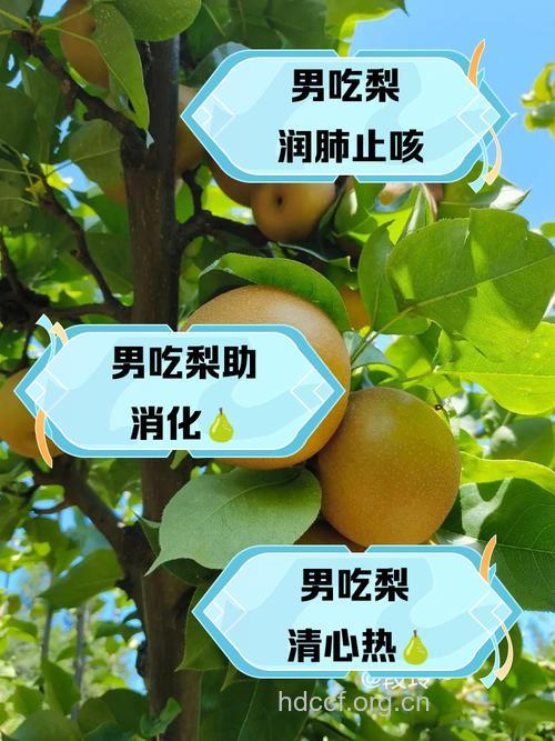 男人吃什么水果对身体好