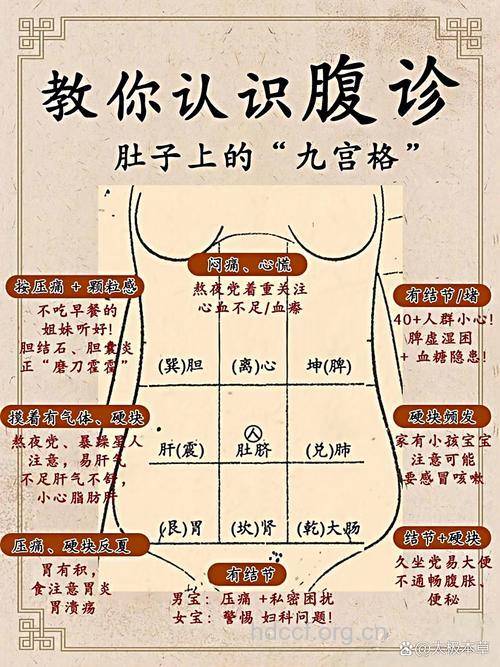 看男人肚子知男人健康