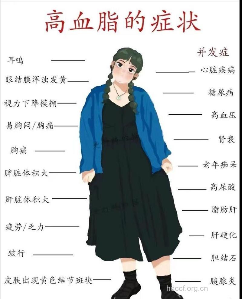 高血脂有什么症状