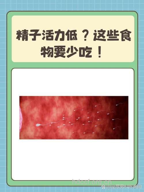 为什么精子少 4种食物可补充