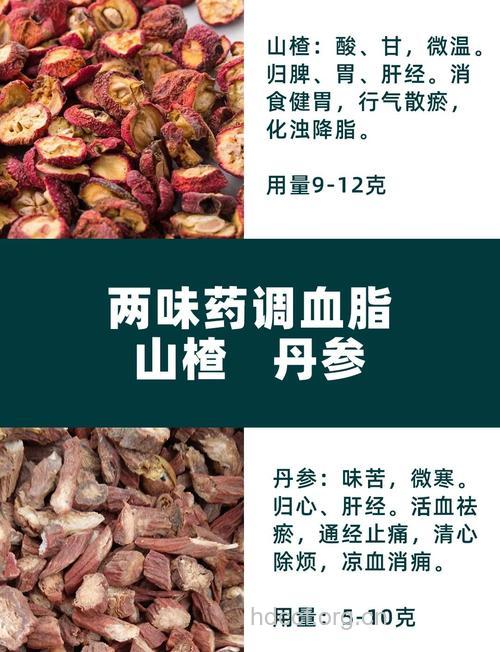 怎么用中药降血脂