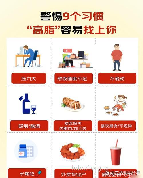 血脂异常者需时刻保持警惕