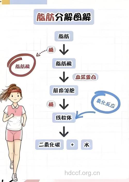 调脂治疗人群正逐渐扩大