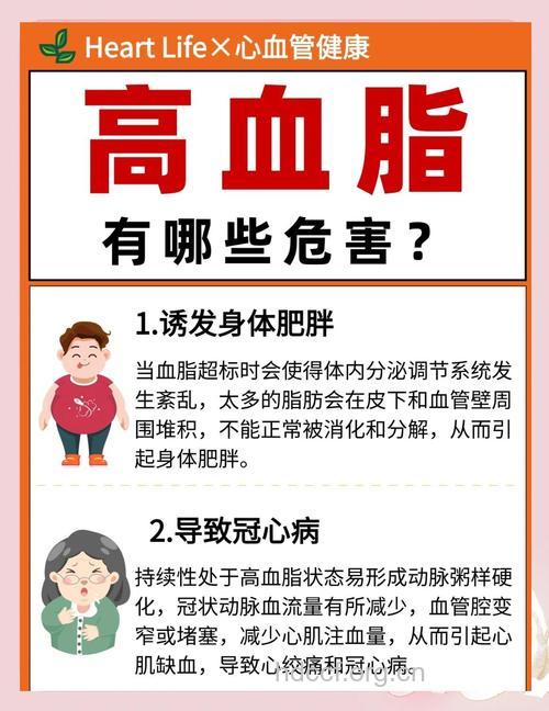 不可轻视高血脂的十种危害