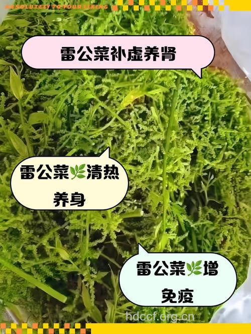 男人6种菜必不可少 功效胜过伟哥