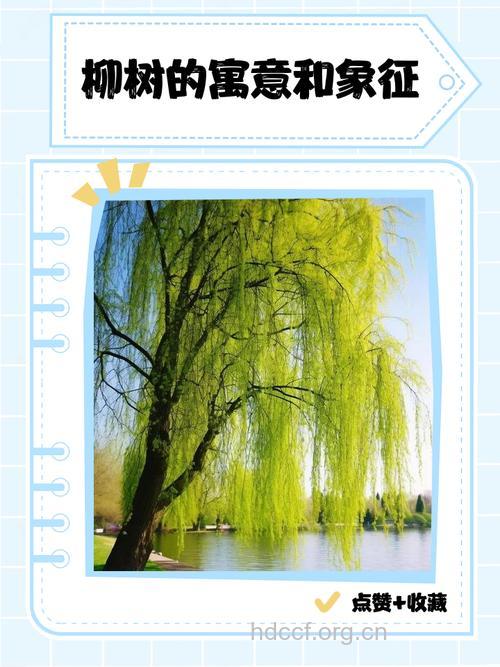 做梦梦见柳树是什么意思